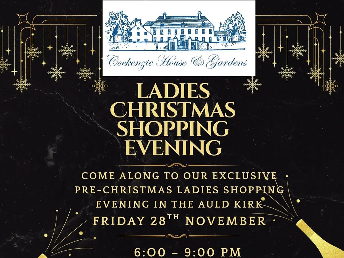 Ladies Christmas Shopping Evening