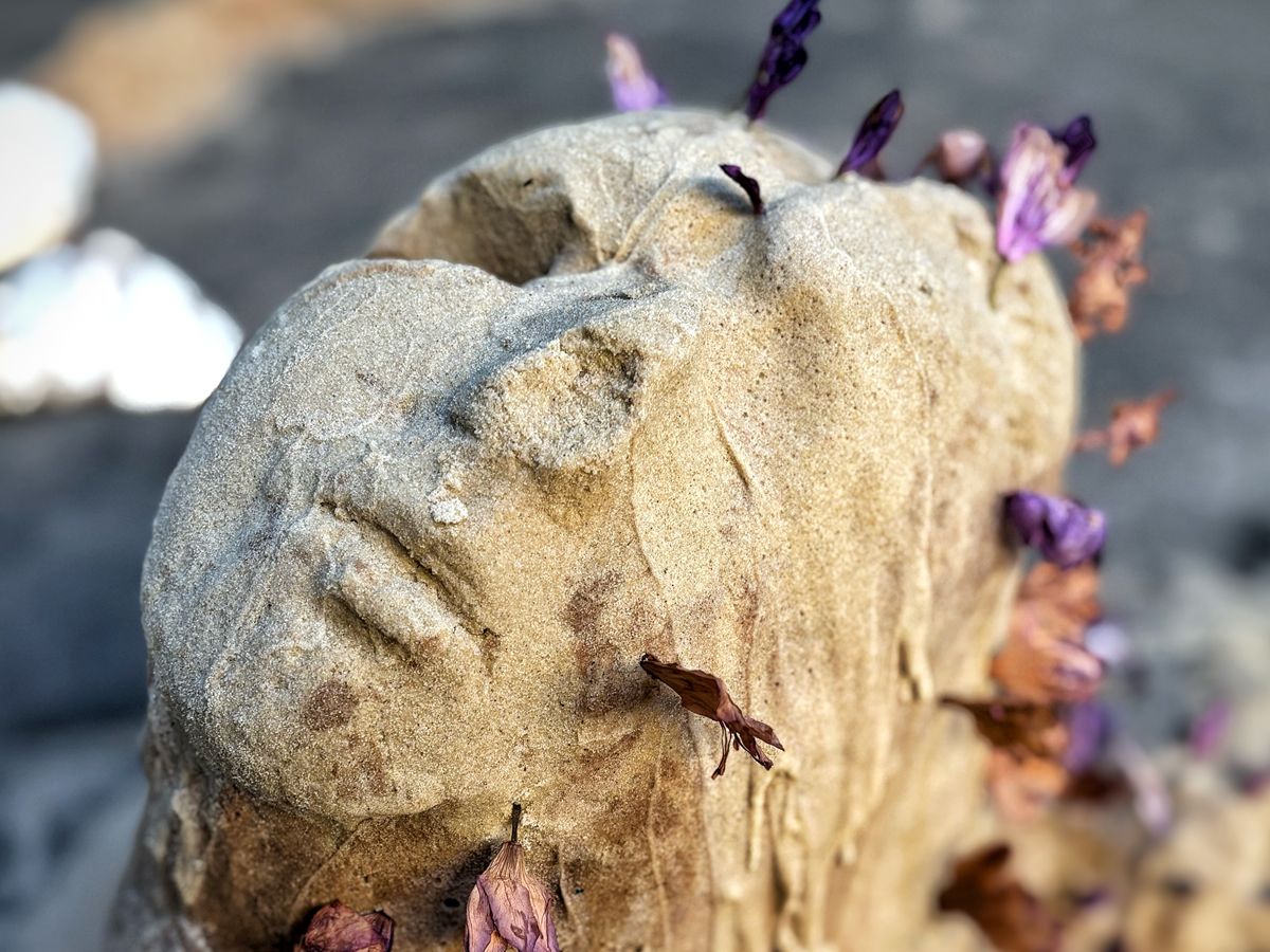 Summerhall Arts announce CATALYST: Art as Activism, four new solo exhibitions for 2026