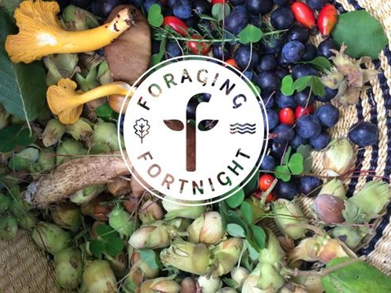 Foraging Fortnight