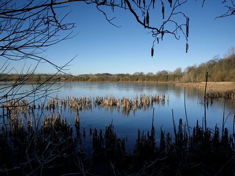 Rspb Barons Haugh Nature Reserve