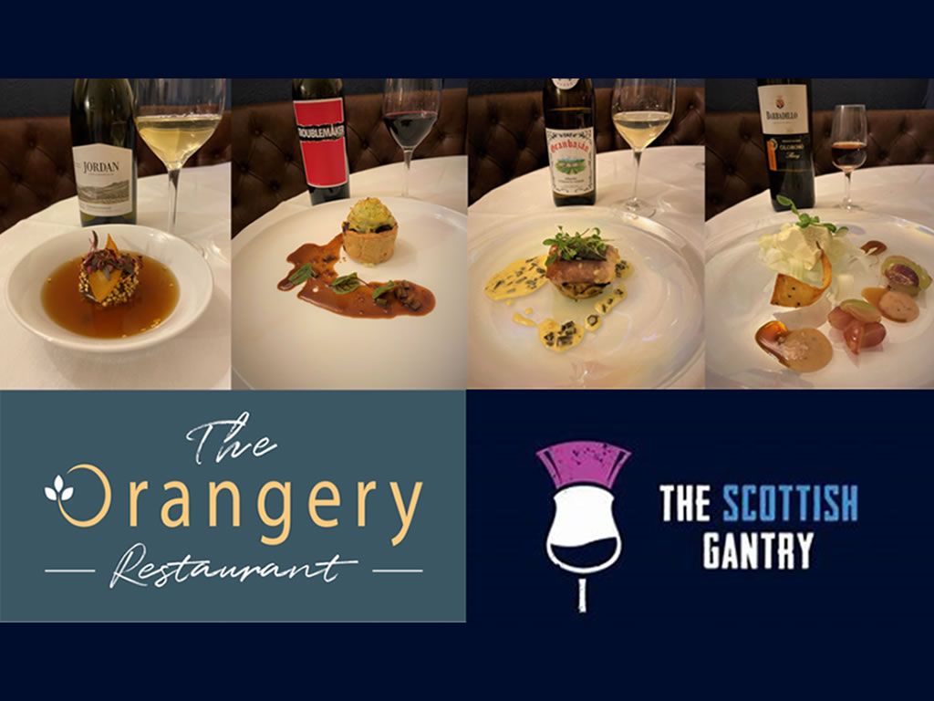 Wine Pairing and Food Tasting