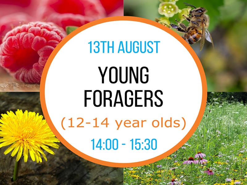 Young Foragers (12-14 year olds)