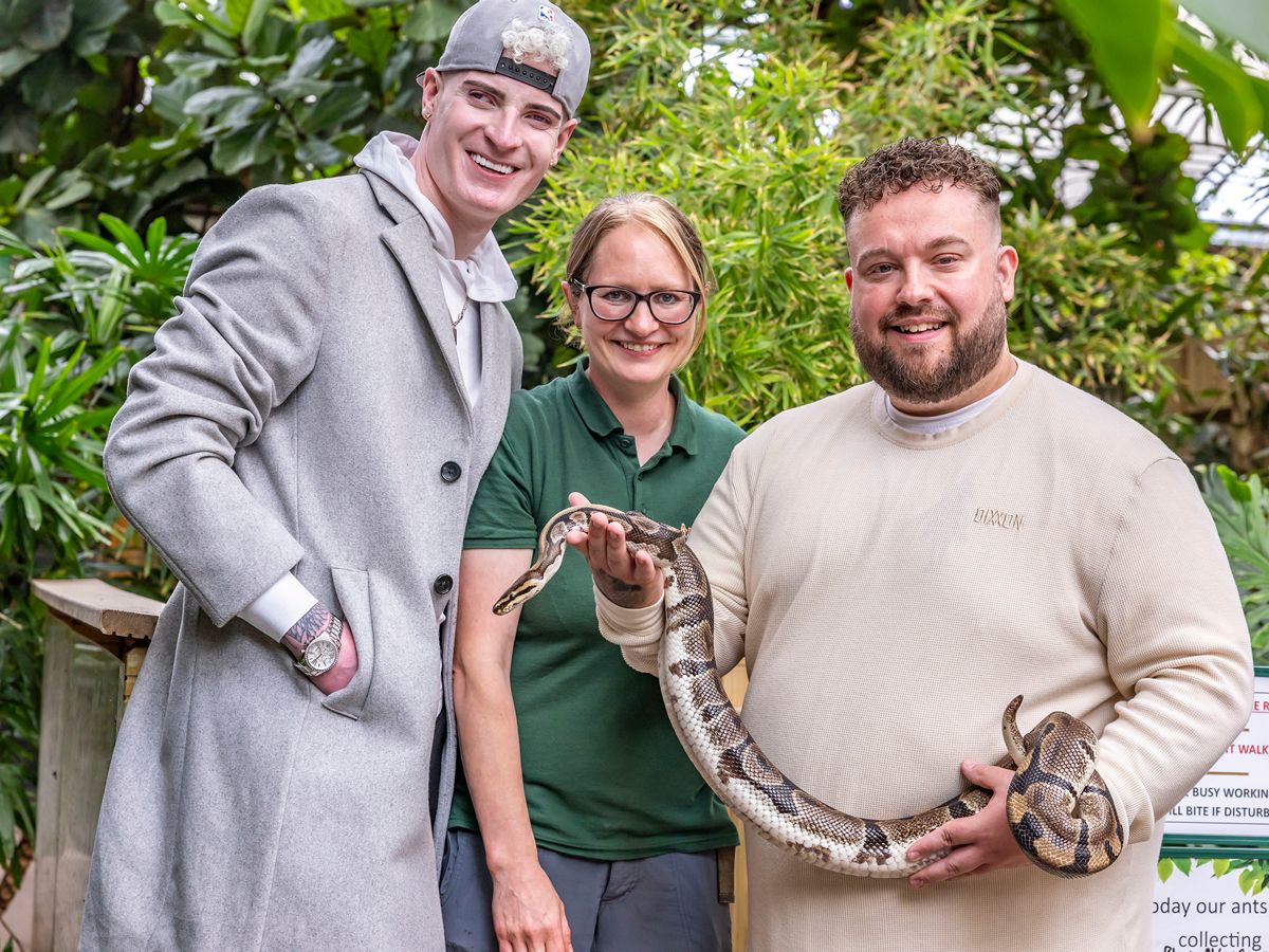Albino stage performer takes part in LIVE event with Amazonia to cure spider and snake fears