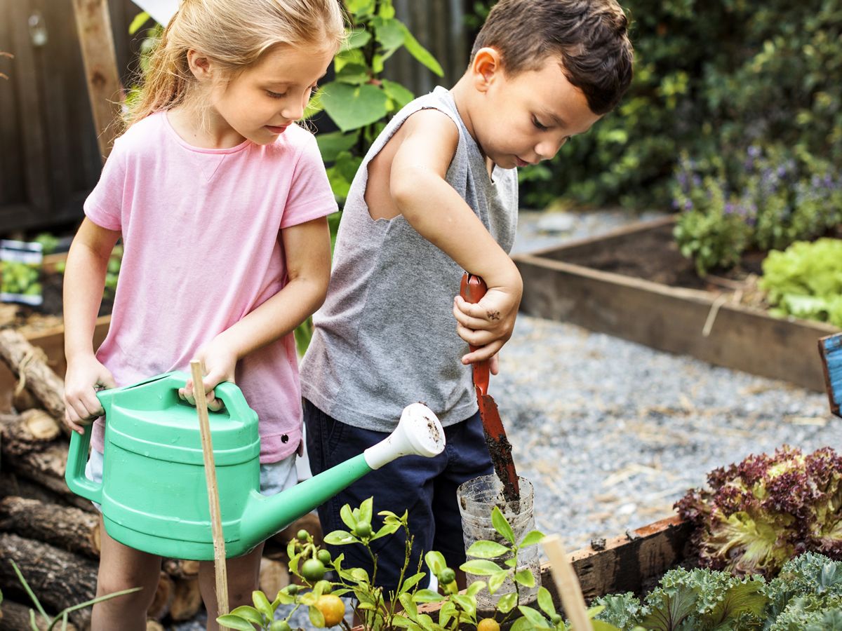 Spring Sprouts - Kids Gardening Session