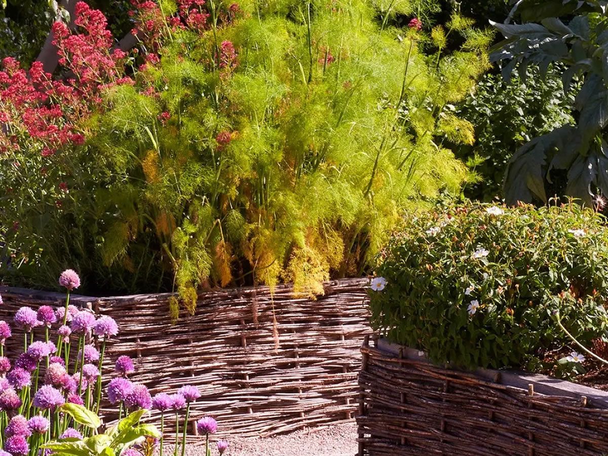 Physic Garden: Flower Arranging