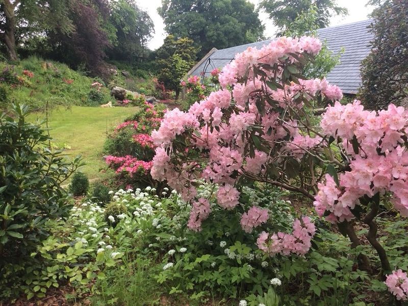 Scotland’s Gardens Scheme Open Garden: Burnhouse