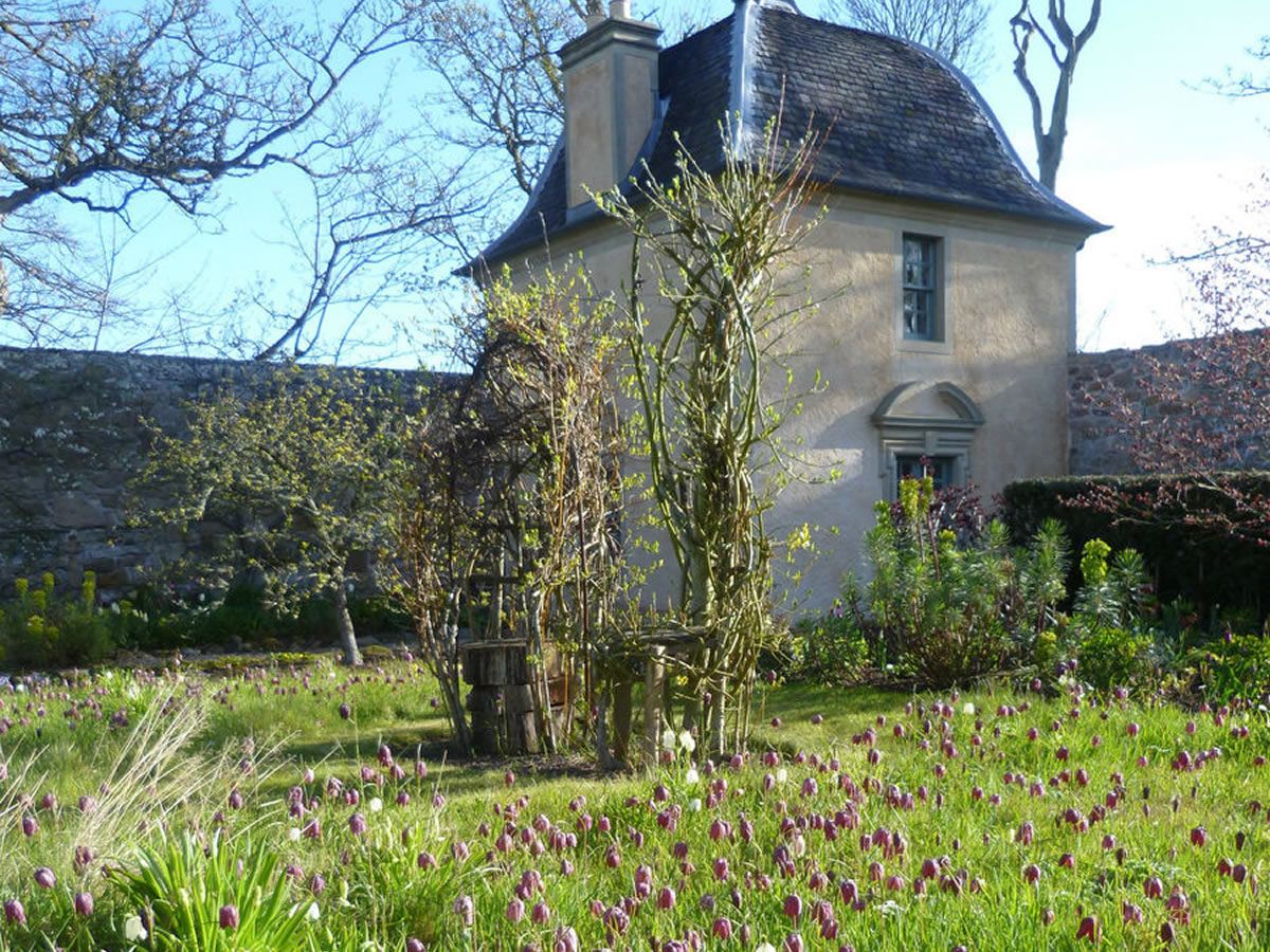 Scotland’s Gardens Scheme Open Garden: Wormistoune House