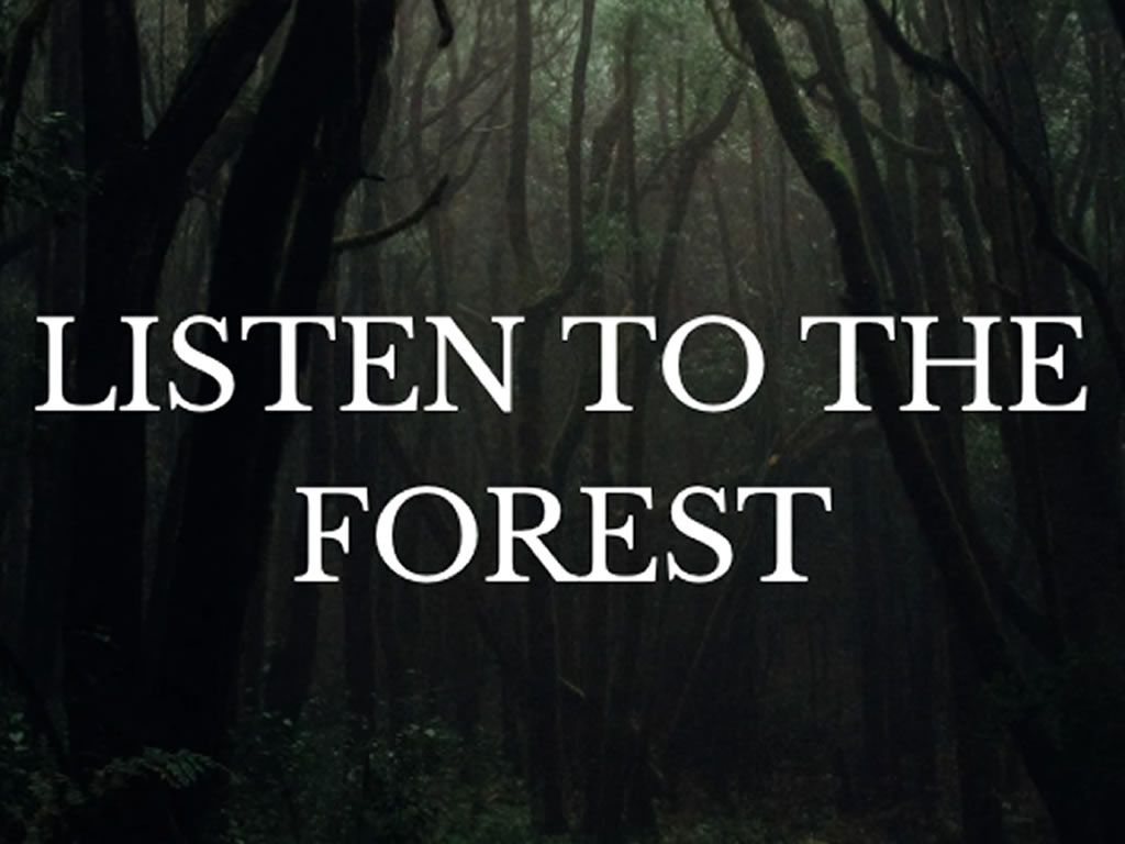 Listen to the Forest