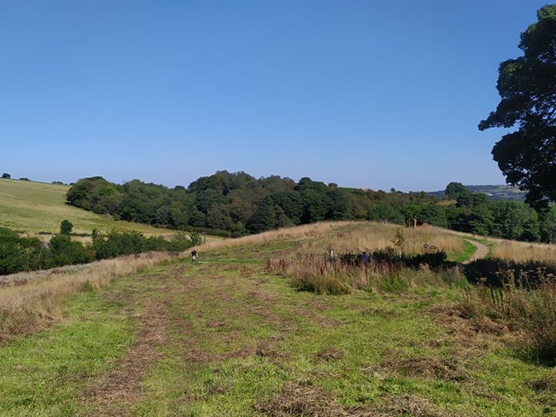 Drop In: Learn to Meadow at Johnshill