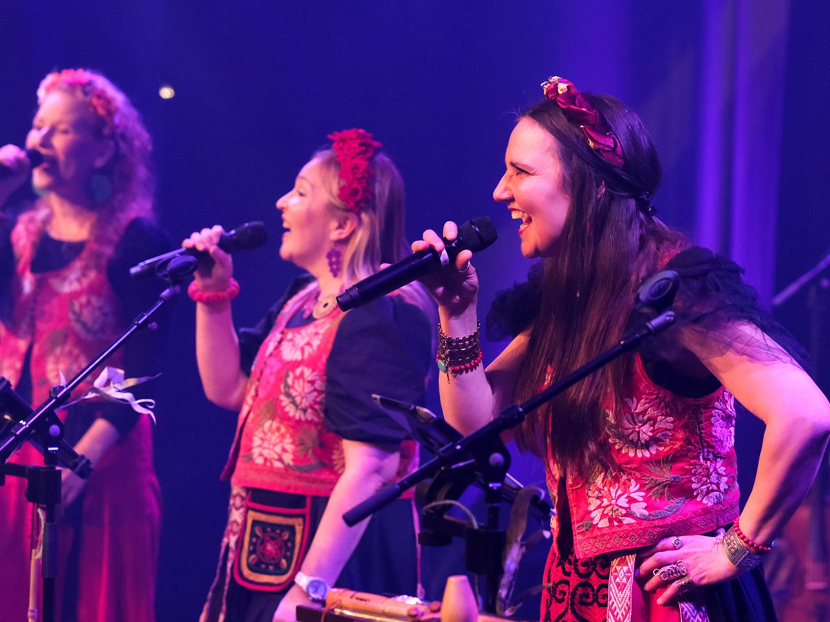 Värttinä and Support