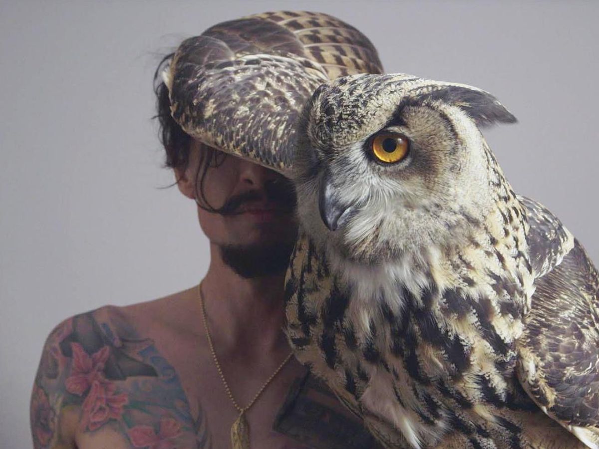Justin Hawkins Rides Again... Again