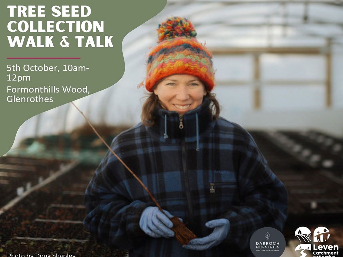 Tree Seed Collection Walk & Talk