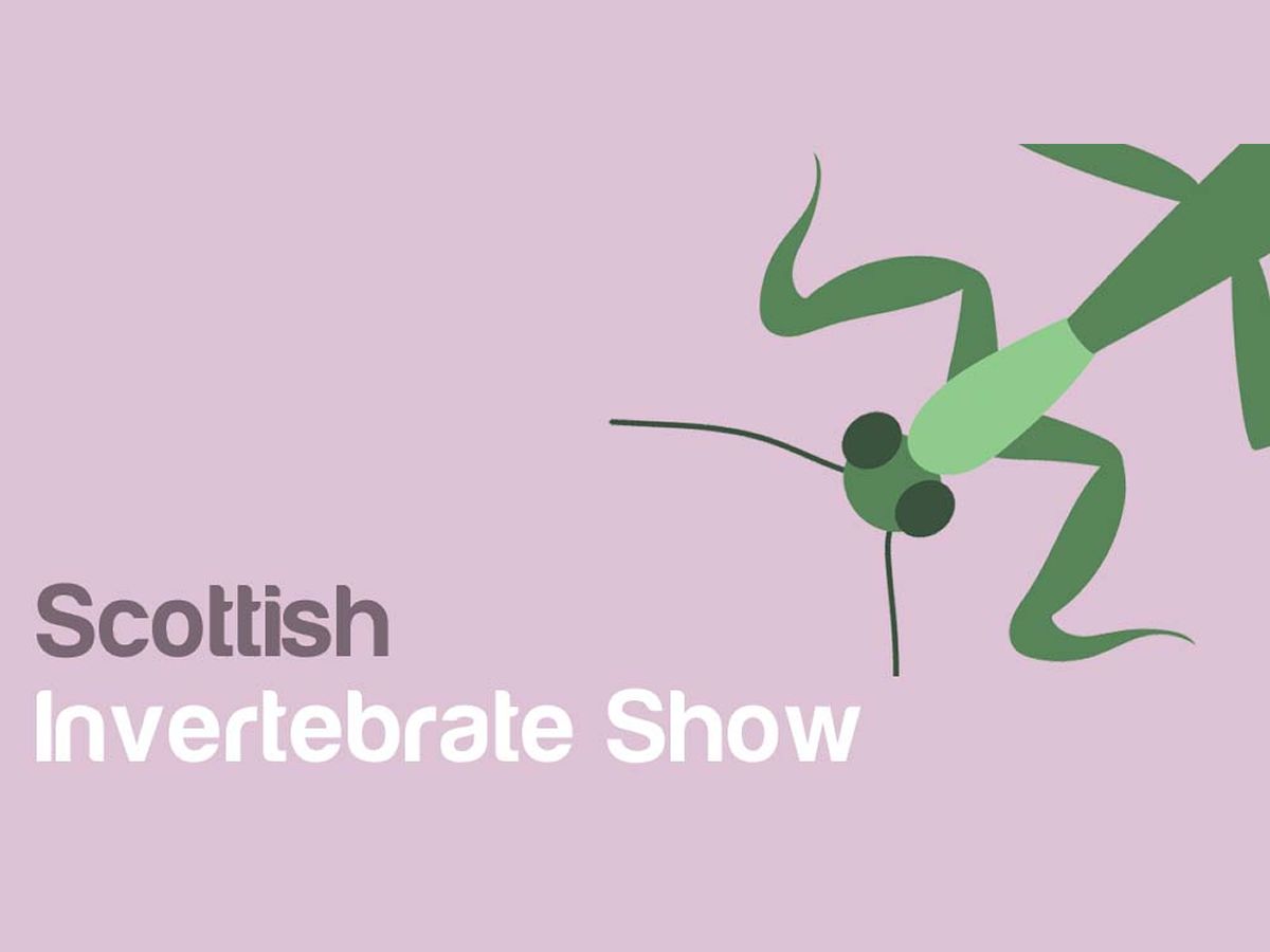Scottish Invertebrate Show
