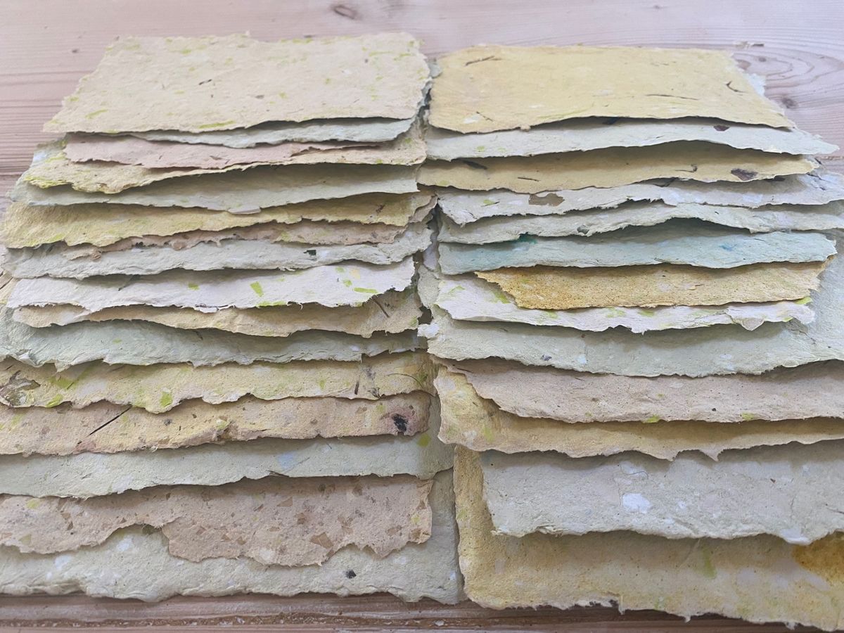 Make Paper With Seaweed Workshop