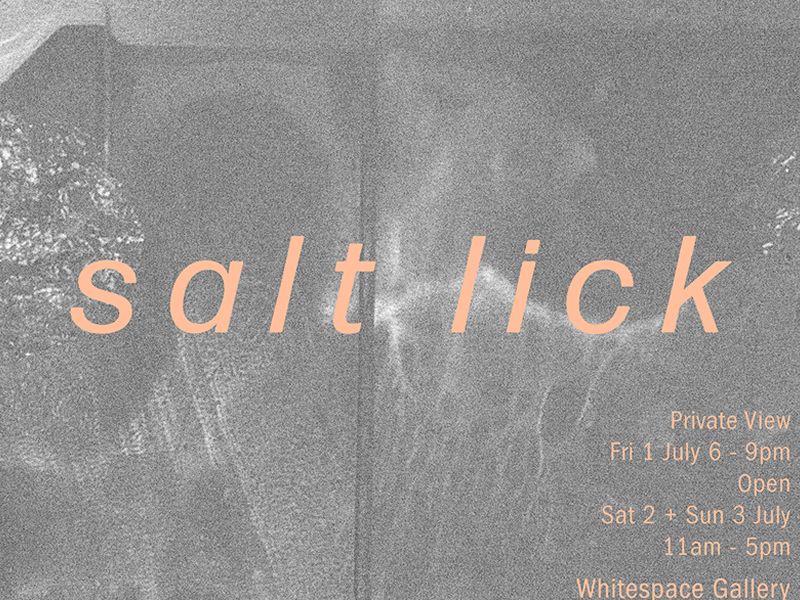 ‘Salt Lick’ - An Exhibition