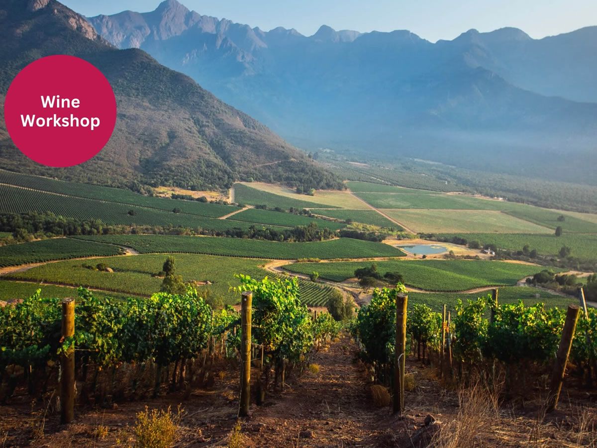 Arboleda – Showcasing Chile’s Aconcagua Valley