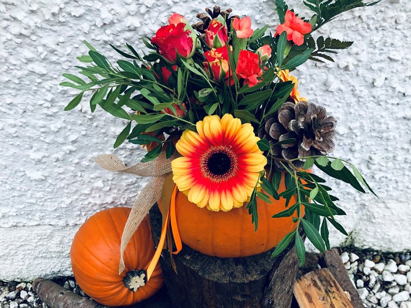 Autumn Pumpkin Masterclass
