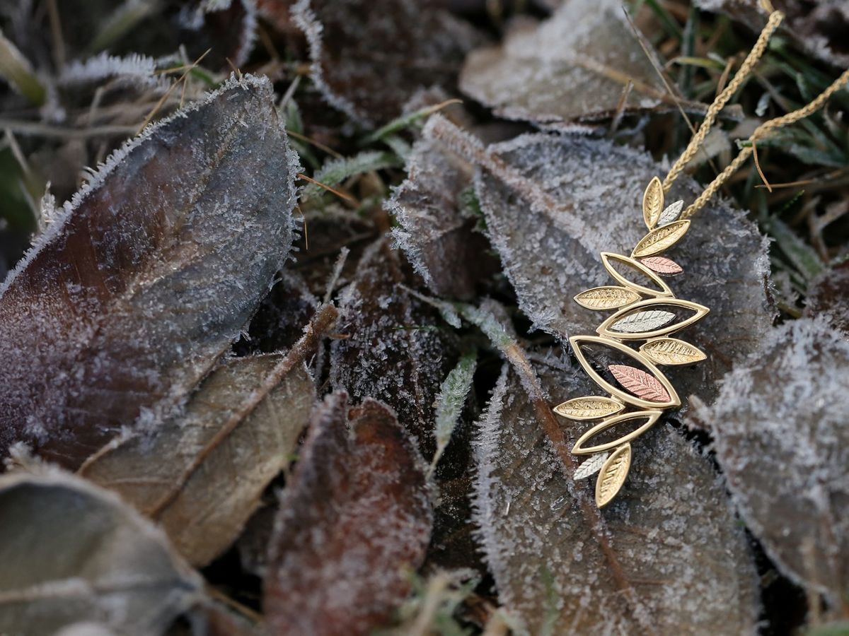 Sheila Fleet St Andrews