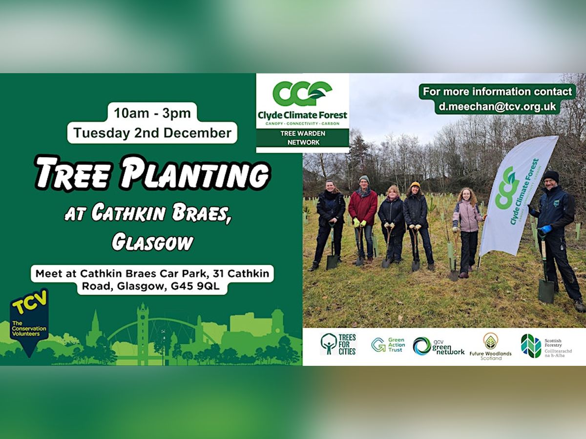 Tree Planting at Cathkin Braes with CCF Tree Wardens