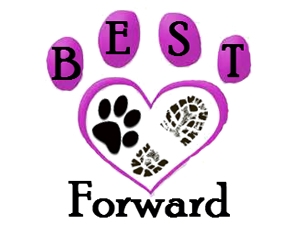 Best Paw Forward Dog Training Club