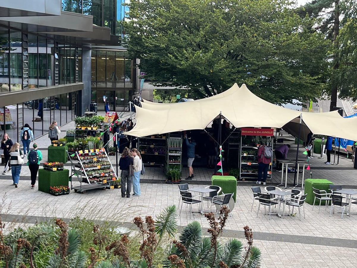 Houseplant Market - Stirling