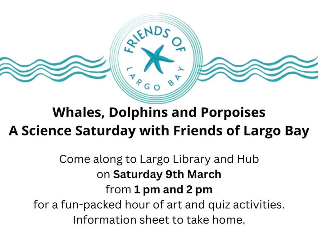 Science Saturday - Whales & Dolphins