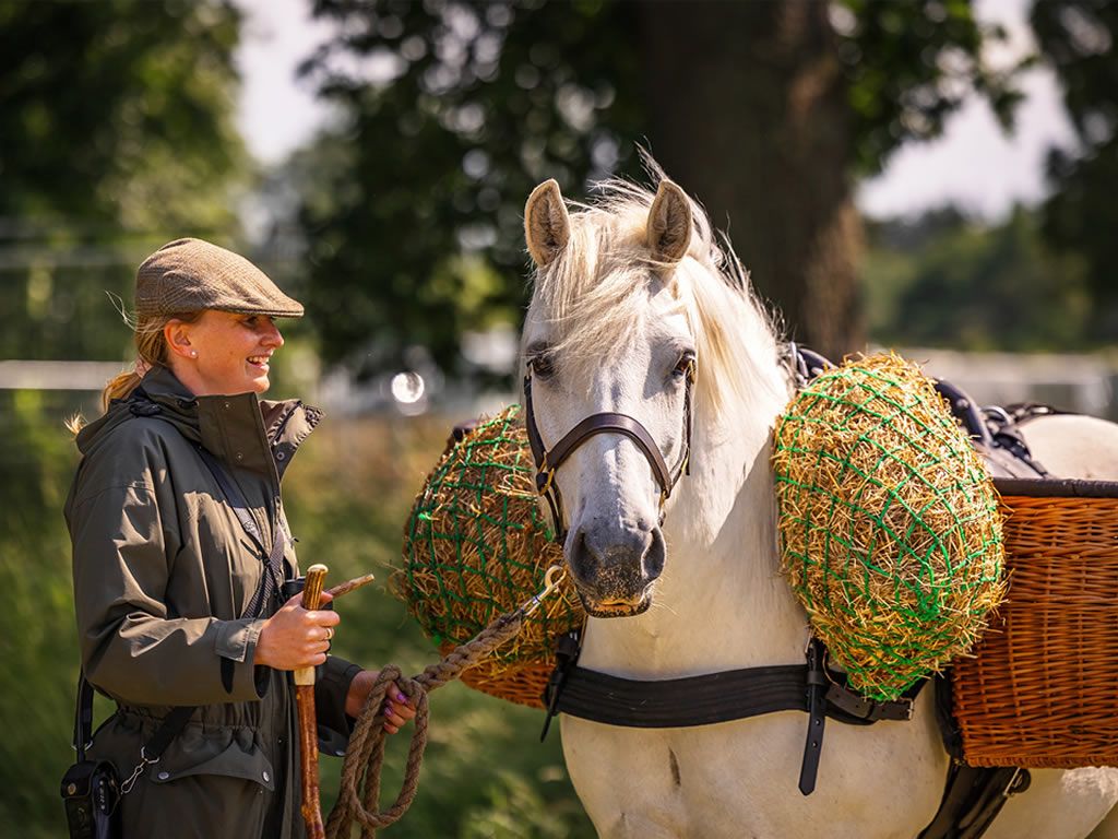 Scottish Game Fair returns for its 35th year