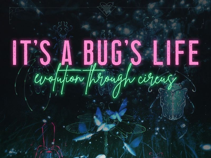 It’s A Bug’s Life: Evolution Through Circus