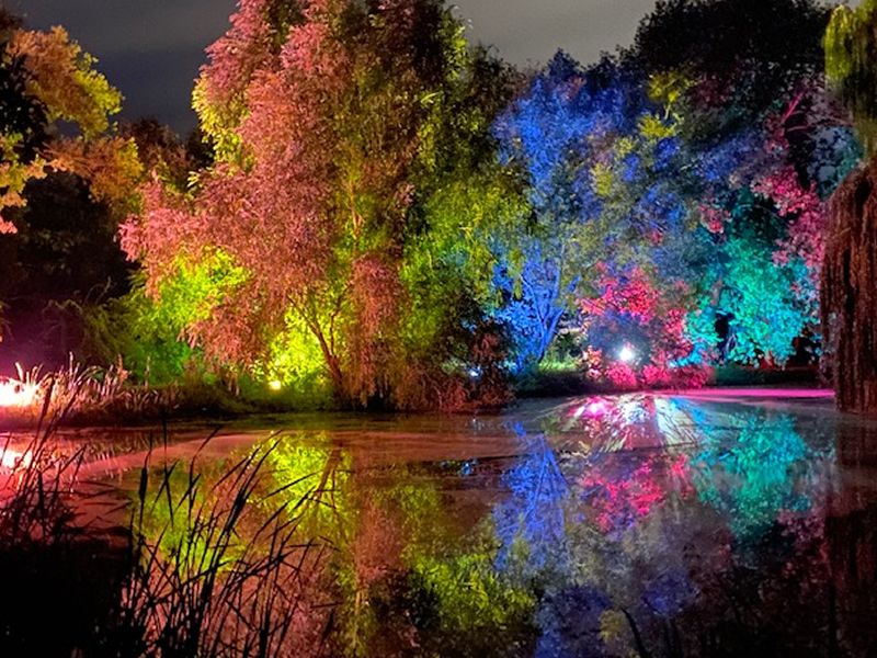 Enchanted Balgone