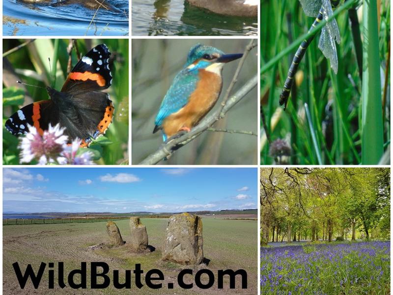 WildBute Walks, Talks & Tours