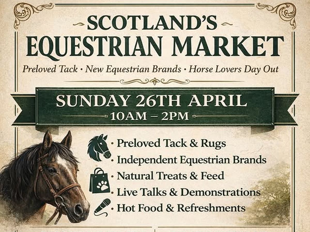 Scotland’s Equestrian Market