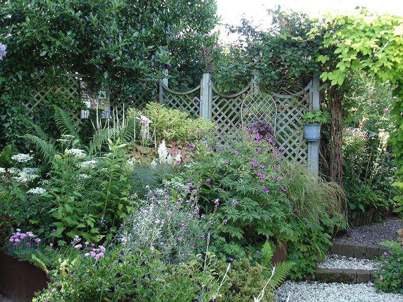 Scotland’s Gardens Scheme Open Garden: 9 Braid Farm Road