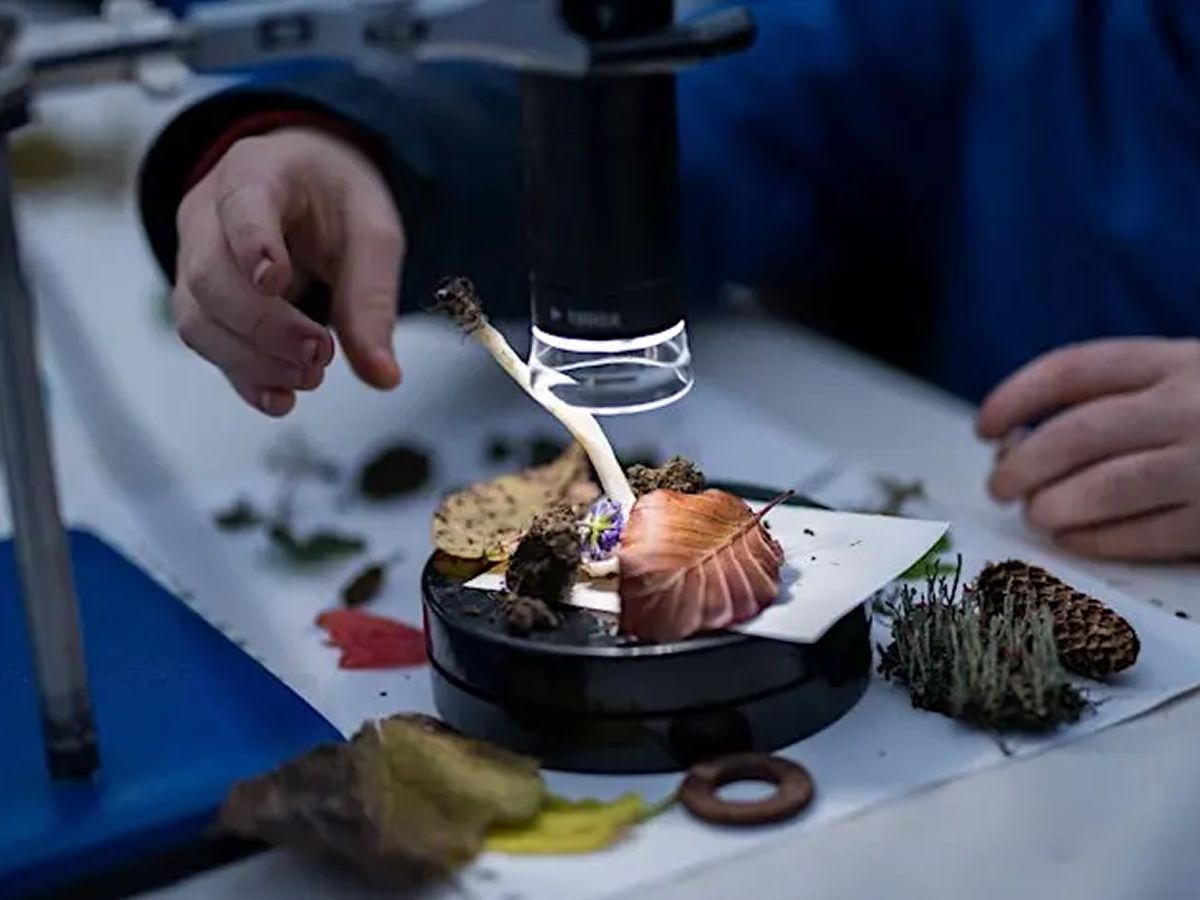 Strange Loop - Art And Science Workshop