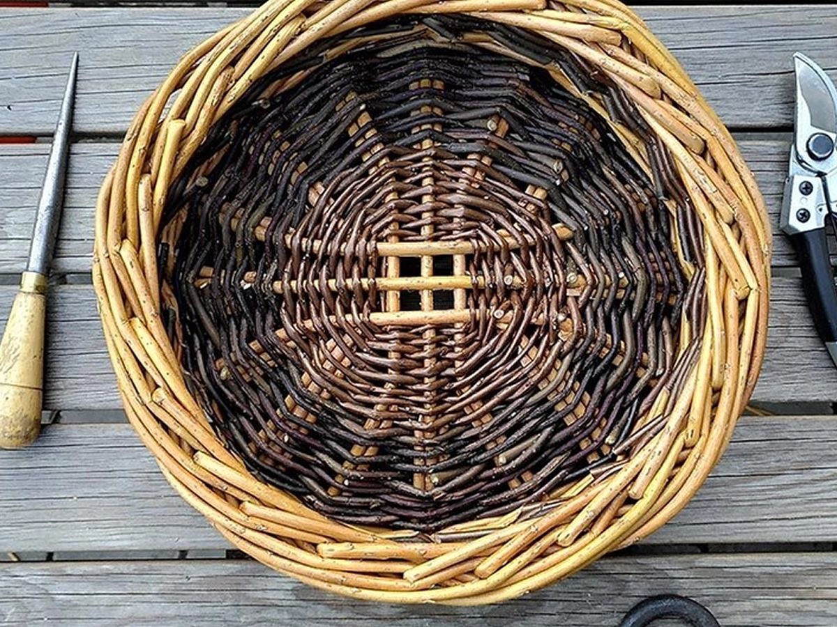 Adult Workshop: Willow Basket Making