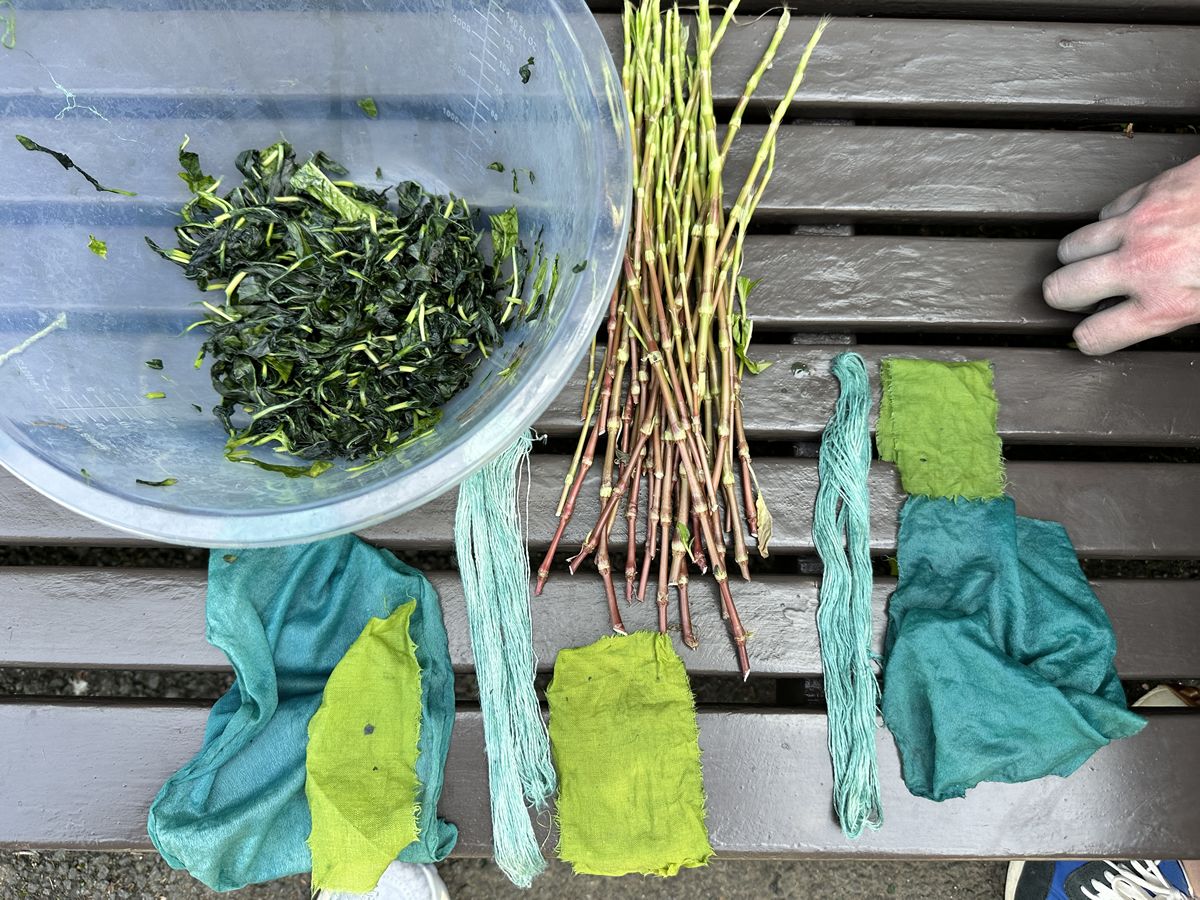 The Indigo Plot Visit and Silk Dyeing Workshop