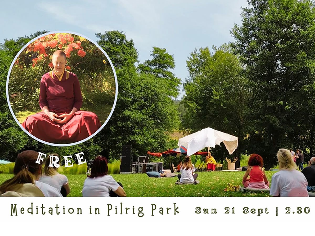 Free Meditation in the Park