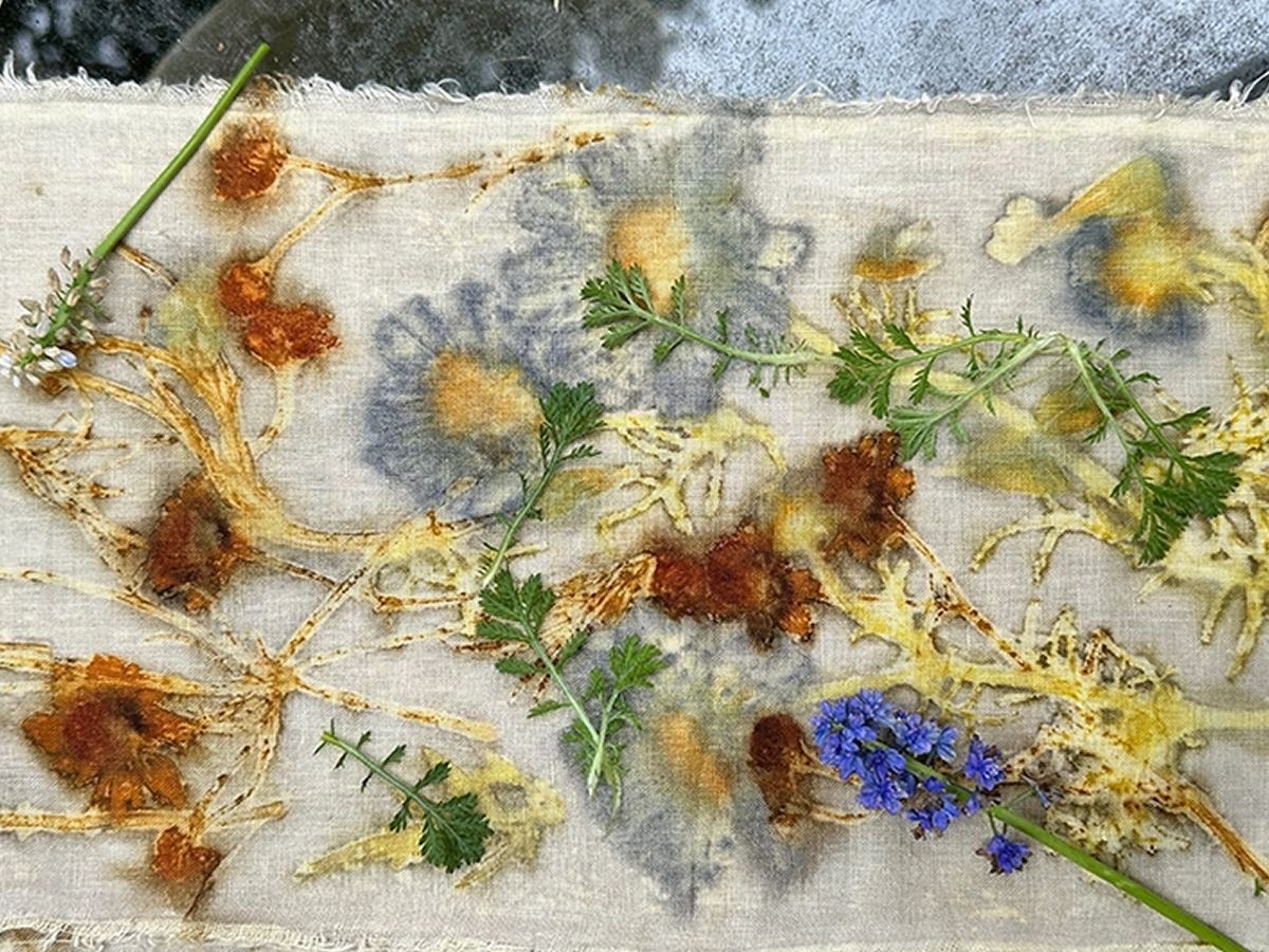 Adult Workshop: Eco Printing