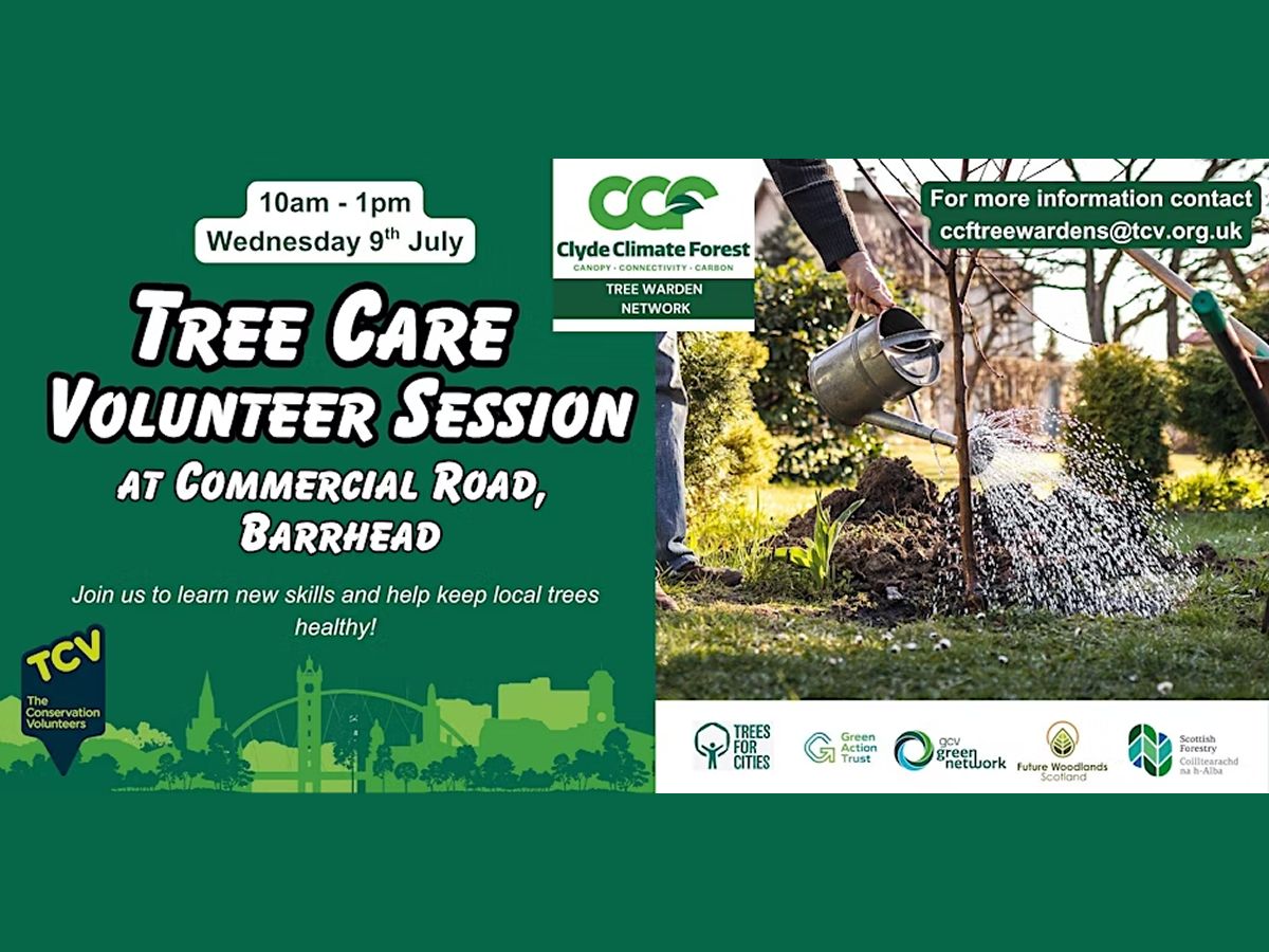 Tree Care Volunteer Sessions with CCF Tree Wardens