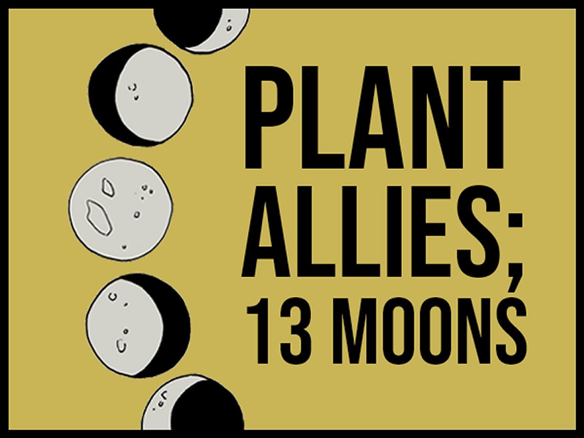 Plant Allies: 13 Moons - in person or online