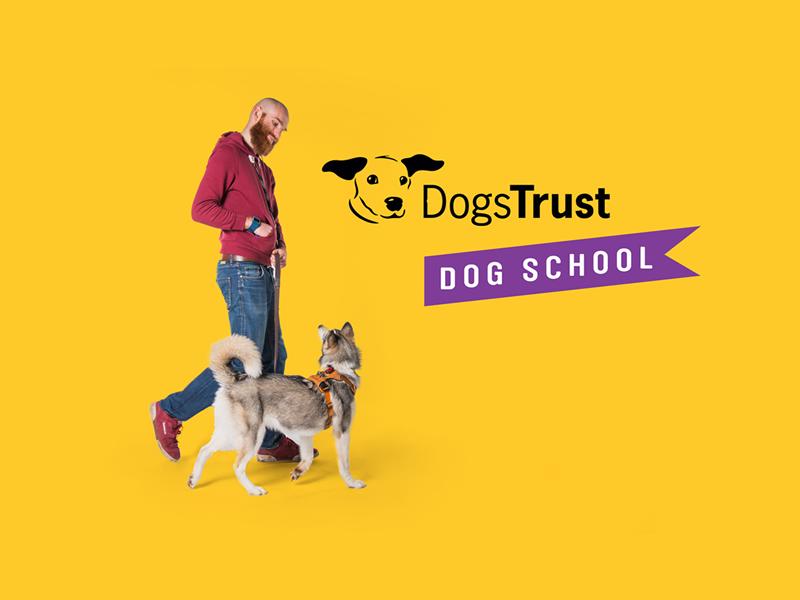 Dogs Trust Dog School Classes