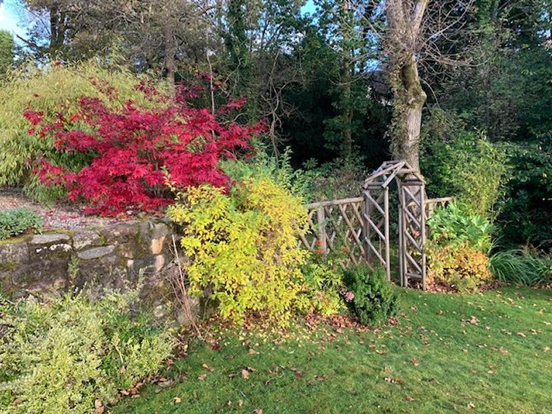 Scotland’s Gardens Scheme Open Garden: 18 Duchess Park with Westburn