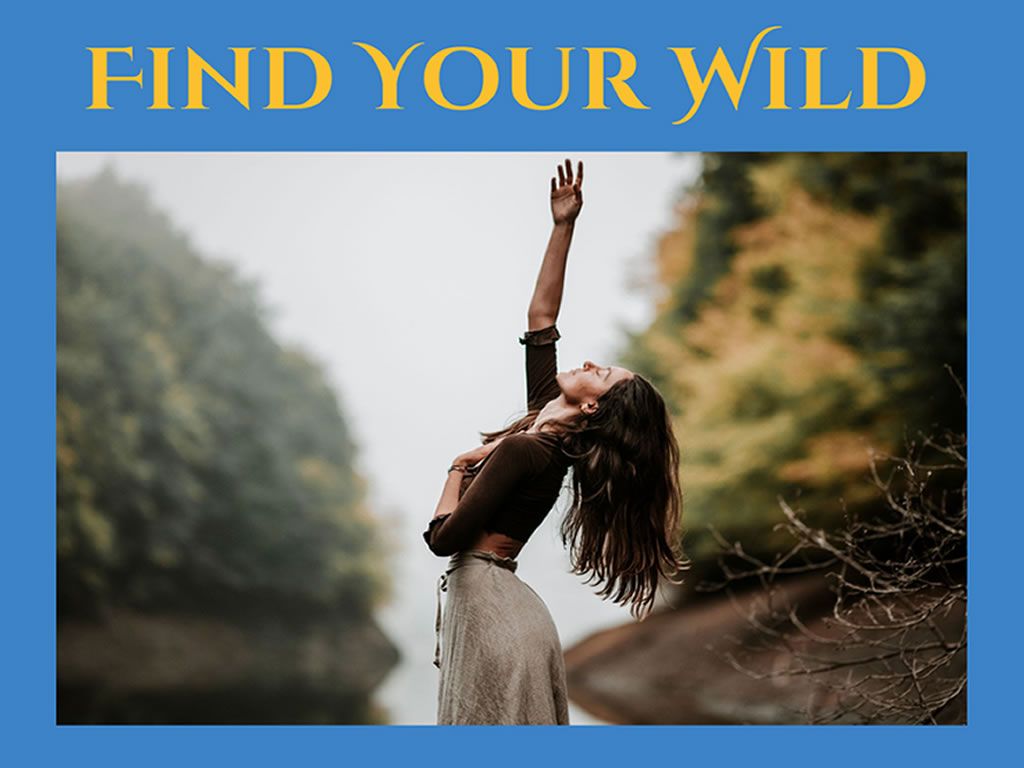 Find Your Wild