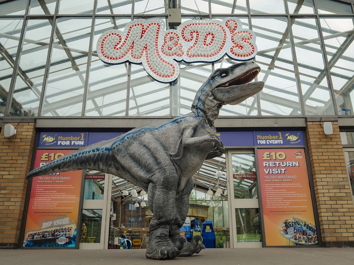 Celebrate the last days of summer at M&Ds