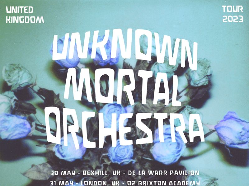 Unknown Mortal Orchestra