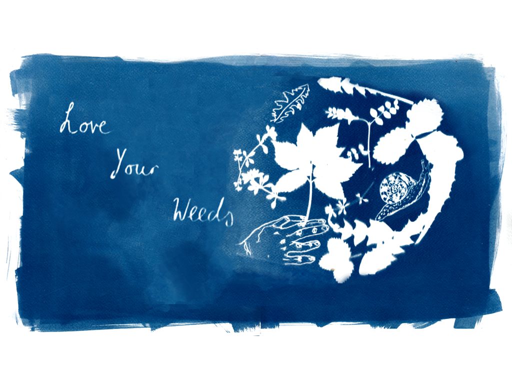 Feel Good Festival: Love Your Weeds: Cyanotype & Foraging