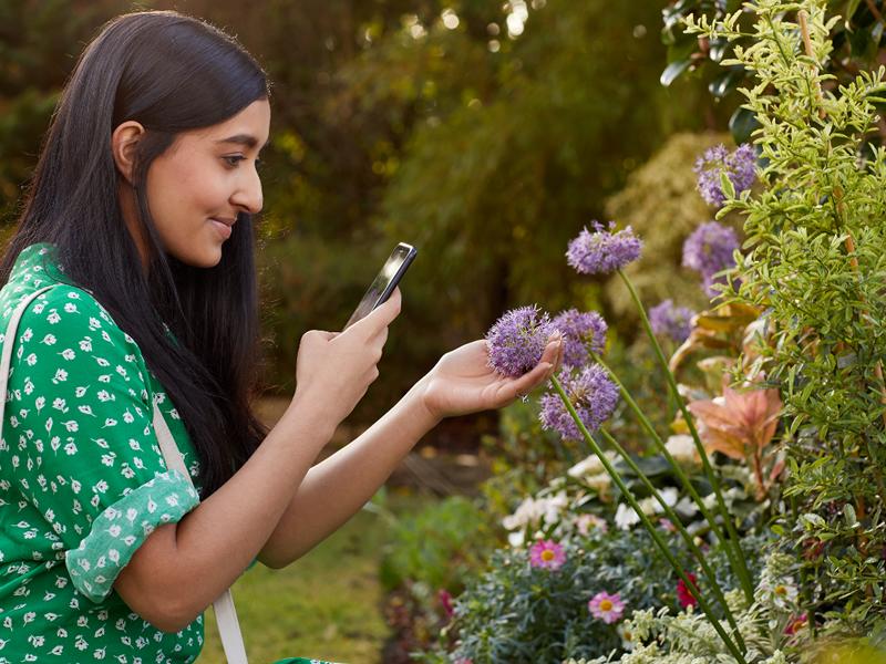 Dobbies supports Virtual Chelsea Flower Show