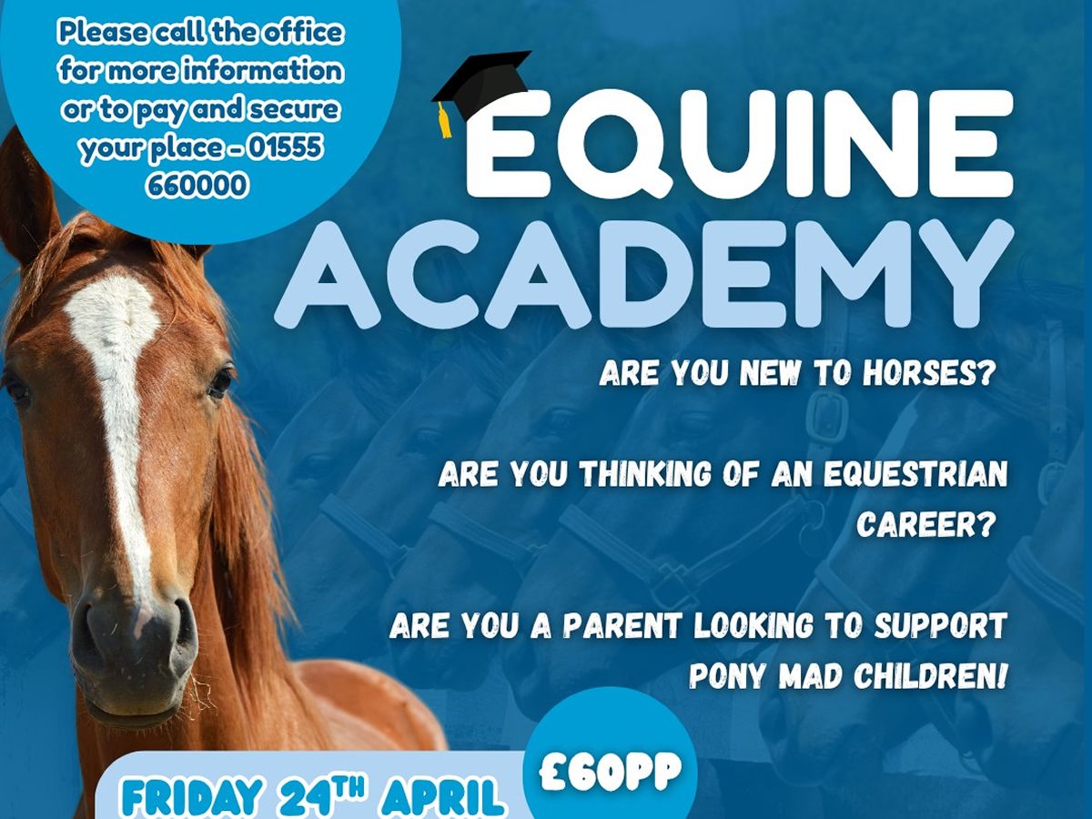 Equine Academy