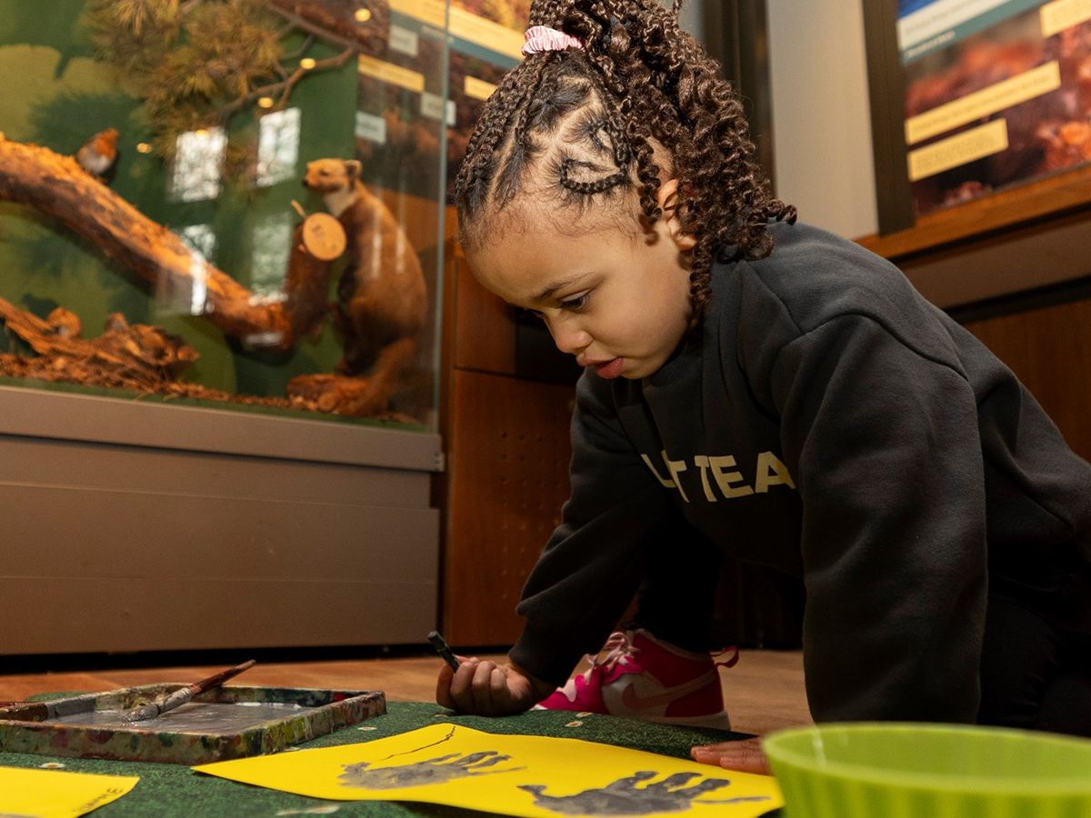 Mini Museum Explorers at Riverside Museum