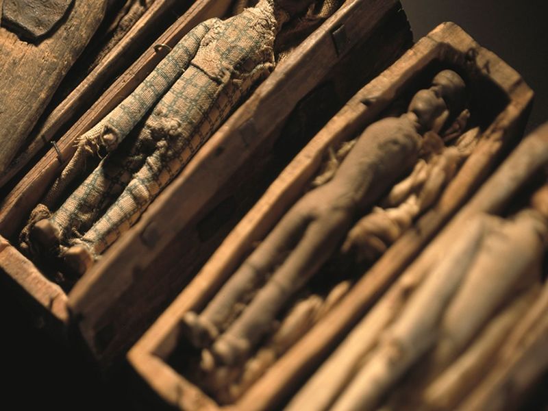 Anatomy: A Matter of Death and Life