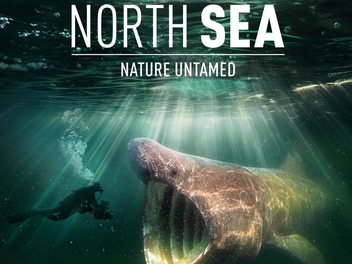 North Sea, Nature Untamed - Film Screening